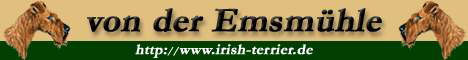 Irish Terrier Emsmhle