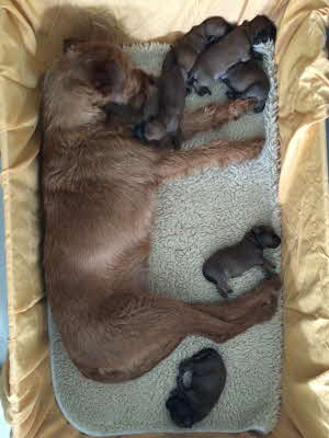 Wo sind sie denn alle