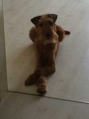 Wann habe ich mal wieder meine Ruhe