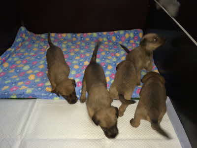 Wo ist den unsere Mutter