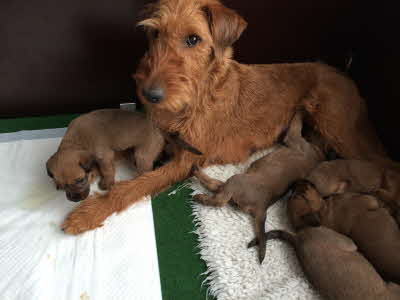 Jetzt geht's wieder los