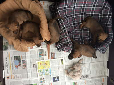 zwei links, 2 rechts