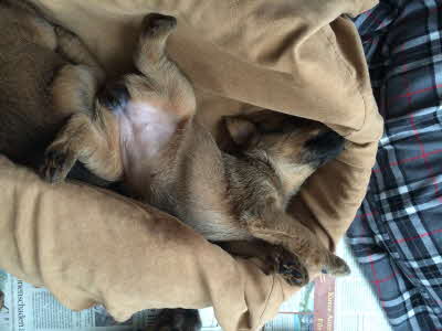 Is die "Matratze" bequem