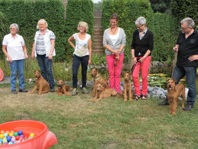 Pias Nachwuchstreffen Irish Terrier